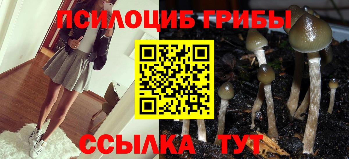 Псилоцибиновые грибы мухоморы  Вход с VPN  Соль-Илецк 
